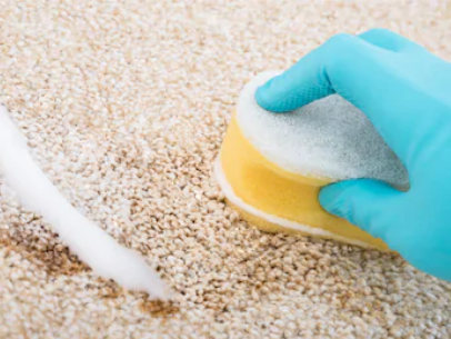 éponger savon sur tapis