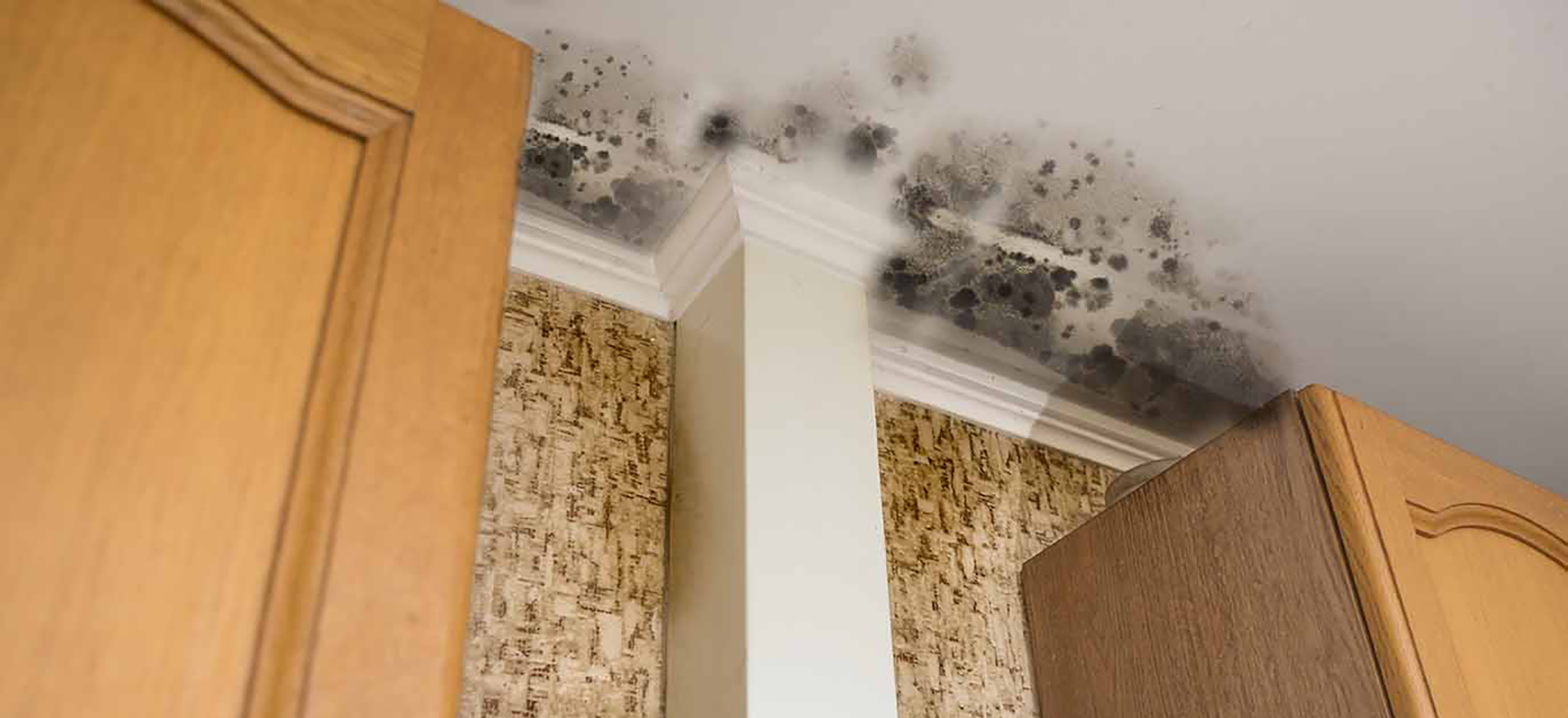 Avoid an infestation: 8 common signs of mold in the home