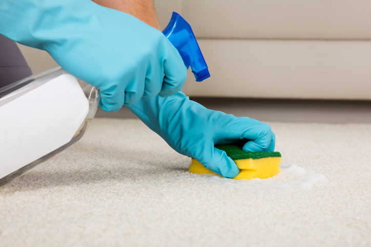 5 tips to remove the smell of urine from your carpet